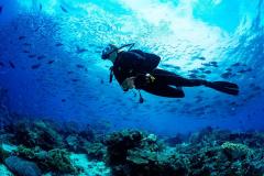 outdoor-sonora-diving-buceo