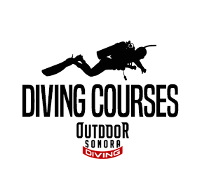 DIVING COURSES